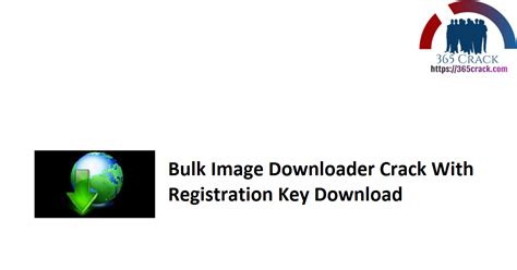 Bulk Image Downloader 6.19.0.0 Crack Free Download [Latest]